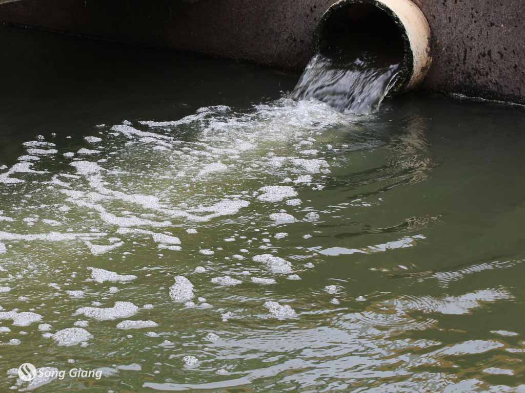 Nước thải đô thị được xử lý qua quy trình nào?