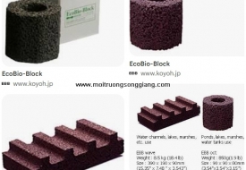 Xử lý nước thải ứng dụng vật liệu mang vi sinh EBB