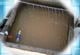Các cách lọc nước bẩn thành nước sạch hiệu quả