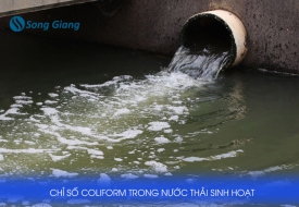 Chỉ số Coliform trong nước sinh hoạt và cách xử lý