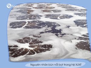 Hiện tượng bùn nổi trong bể xử lý nước thải