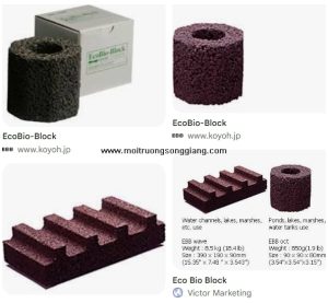 Xử lý nước thải ứng dụng vật liệu mang vi sinh EBB