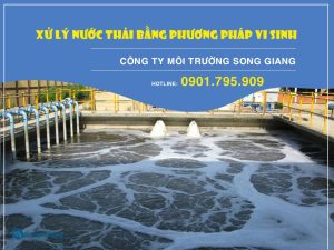 Chi tiết về phương pháp dùng vi sinh xử lý nước thải