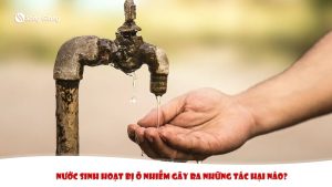 Tác hại khi nguồn nước sinh hoạt bị ô nhiễm
