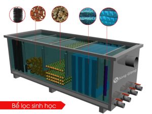 Cấu tạo của bể lọc sinh học và một số loại phổ biến
