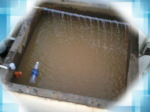 Các cách lọc nước bẩn thành nước sạch hiệu quả