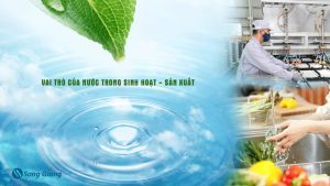 Nước có vai trò gì trong sinh hoạt và sản xuất?