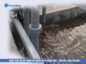 Xử lý nước thải