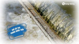 Vì sao cần xác định chỉ số TSS trong nước thải?