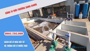 Cách khắc phục mùi hôi hệ thống XLNT?