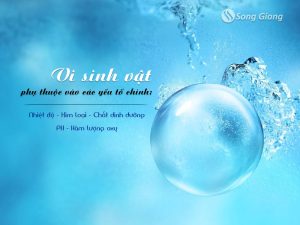 Các yếu tố tác động đến vi sinh vật trong nước thải