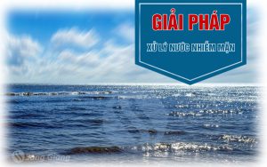 Đề xuất phương án xử lý nước nhiễm mặn